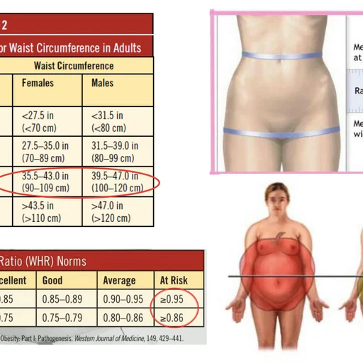 Πώς να αδυνατίσω