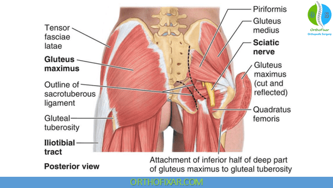 Healthfit Training Studio